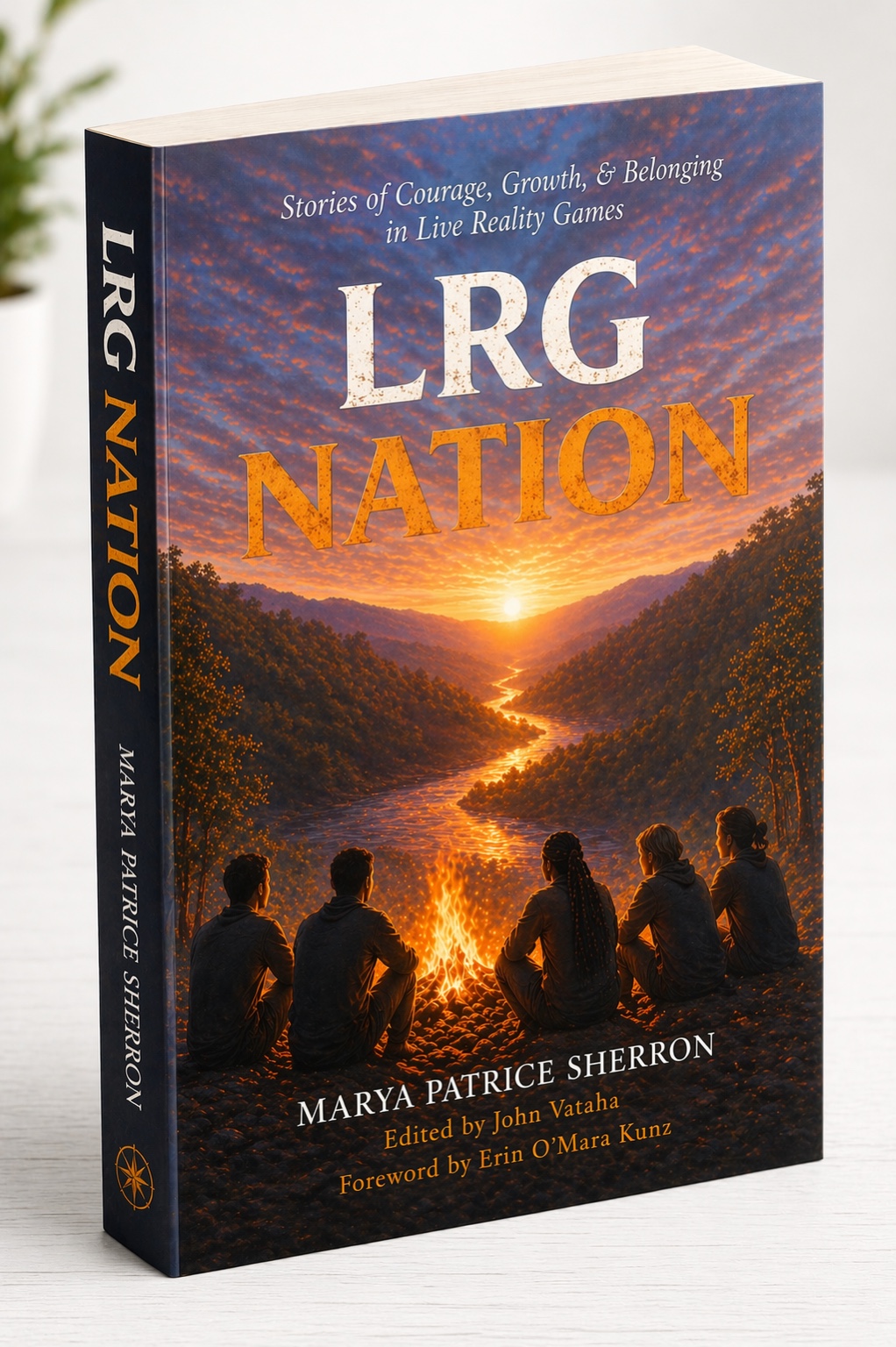 Cover of LRG Nation by Marya Patrice Sherron